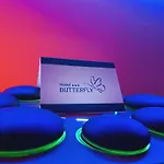 Hotel Butterfly