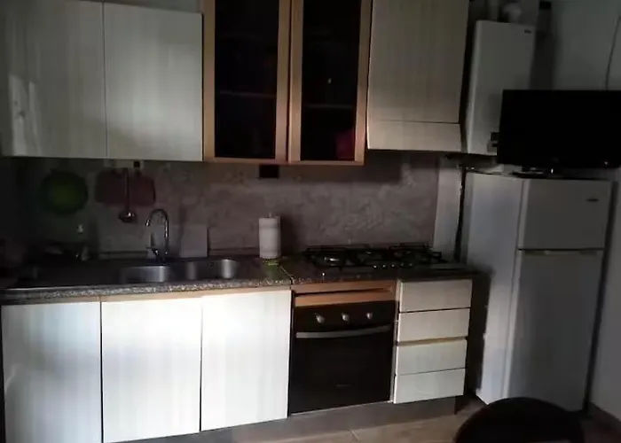 Backpackers Rimini Apartament- Il Lupo Affitta