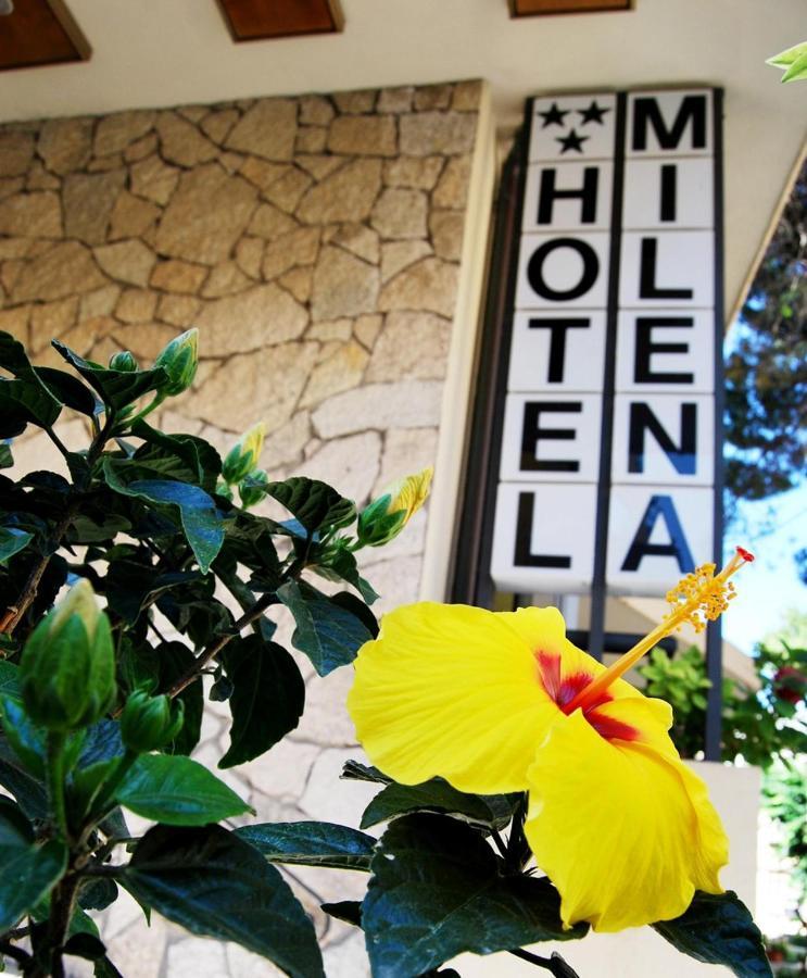 Hotel Milena 3*