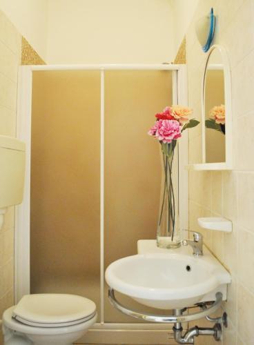 Mimosa Aparthotel 3*