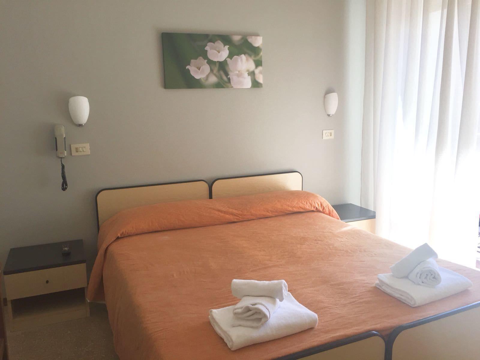 Hotel Ausonia