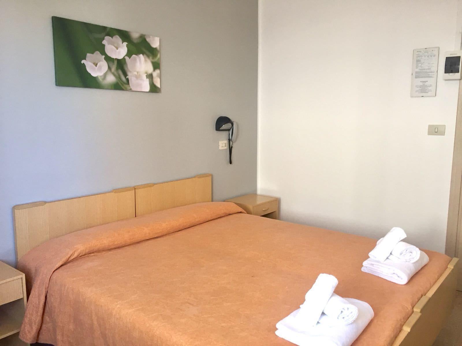 Hotel Ausonia