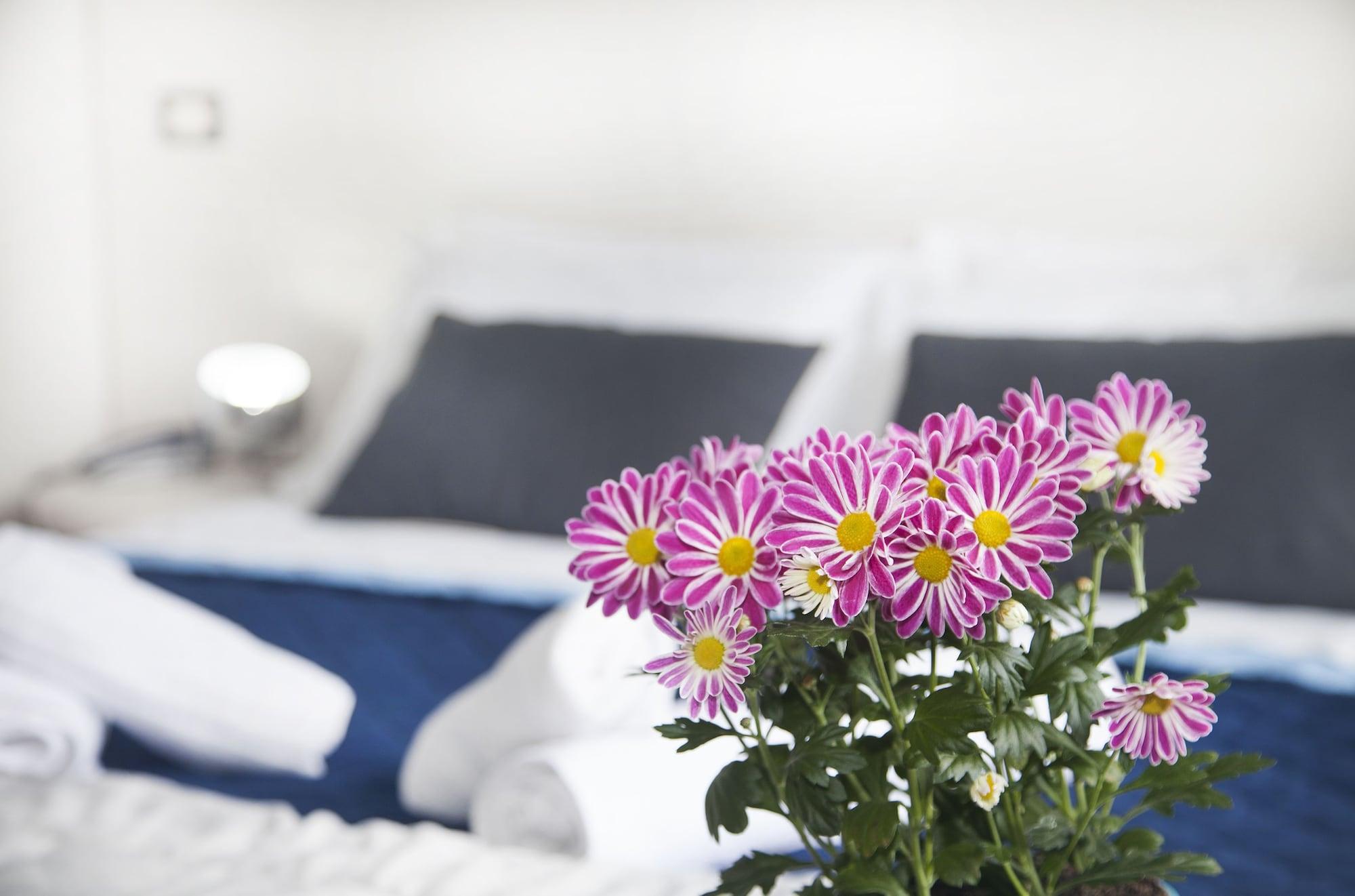 Hotel Stella D'italia - Nuova Gestione