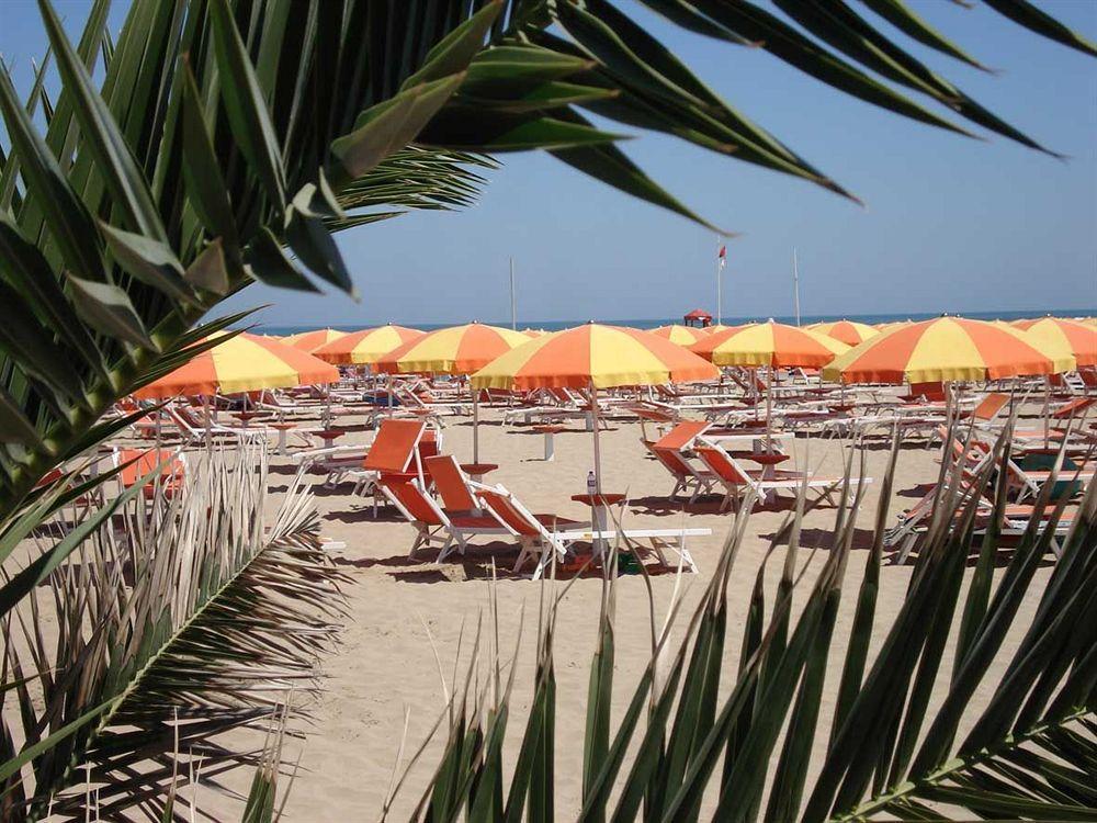 Camelia Hotel