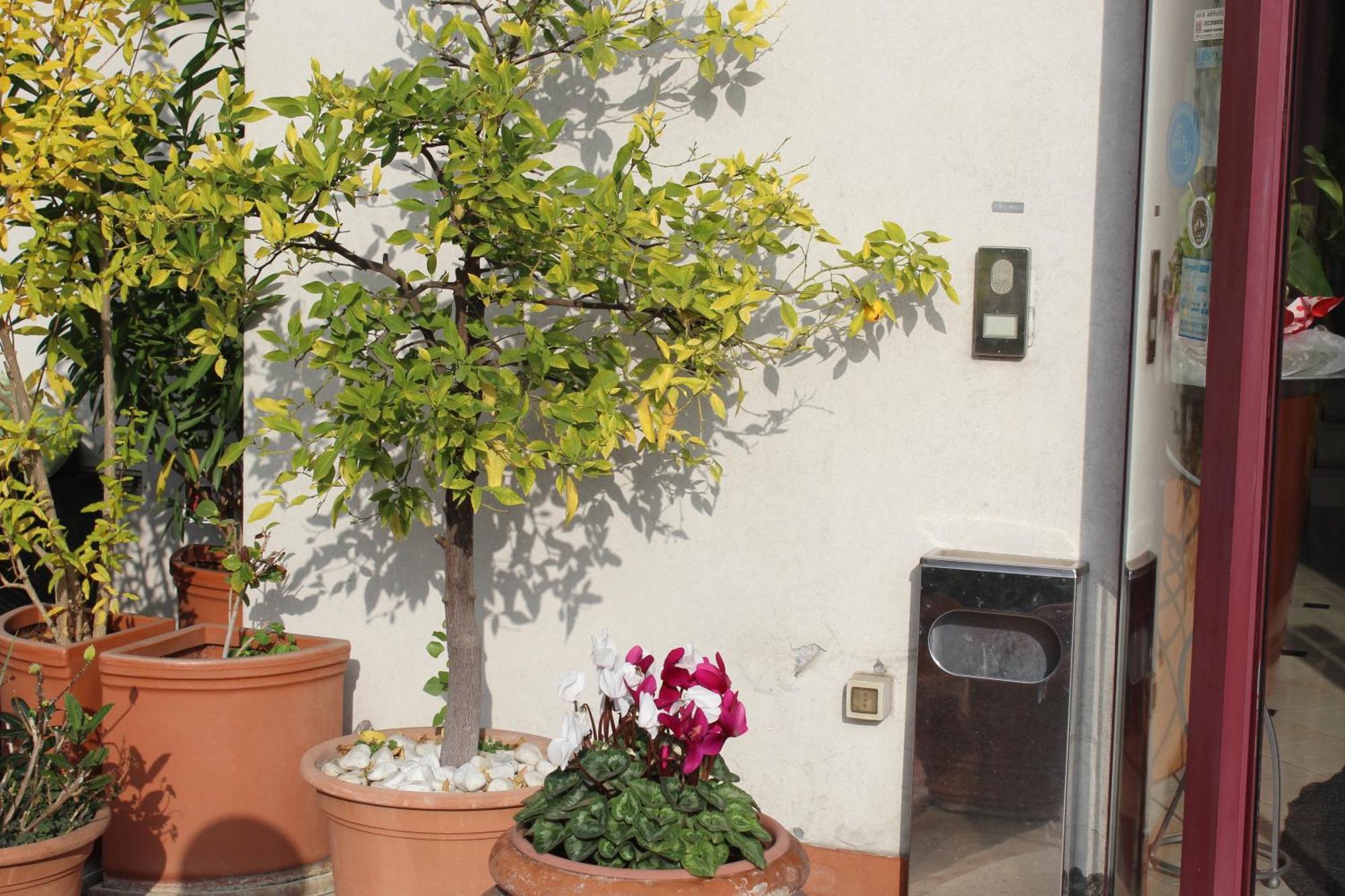 Hotel Arcangelo Roof