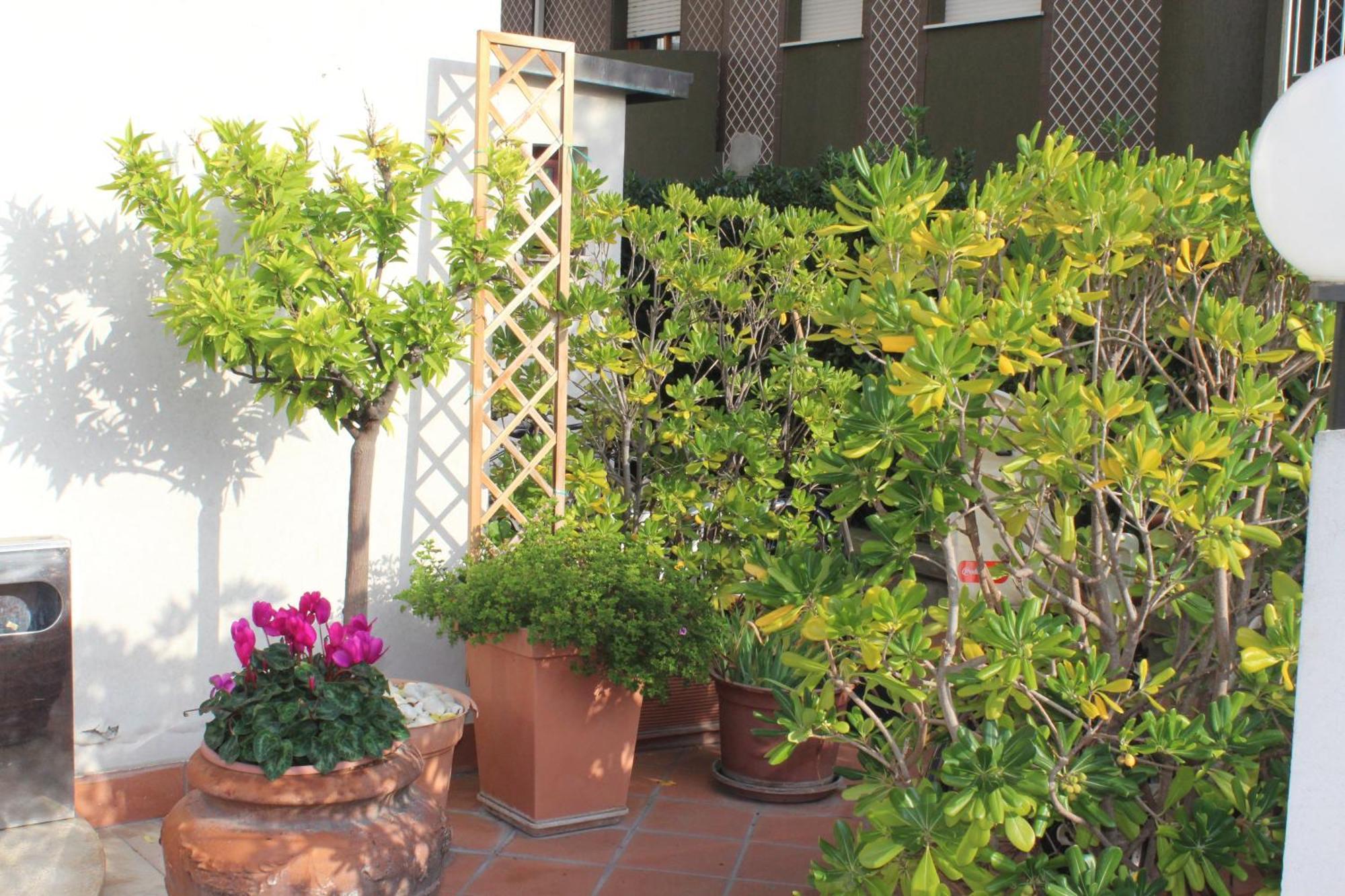 Hotel Arcangelo Roof 3*