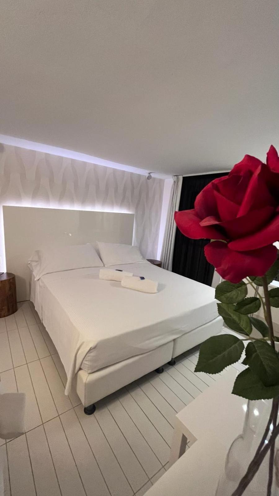 Q Hotel 3*