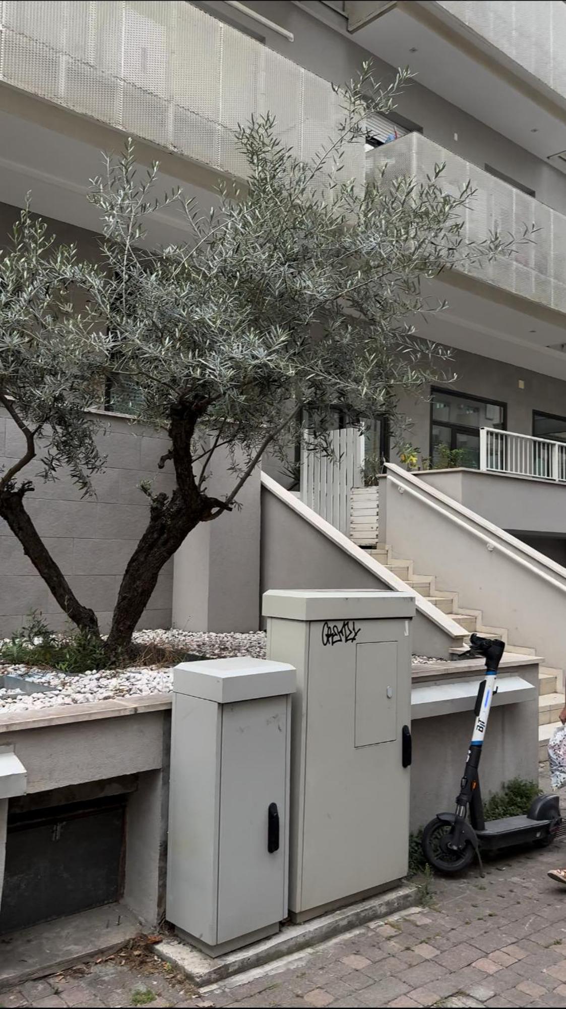 Marina Appartement *
