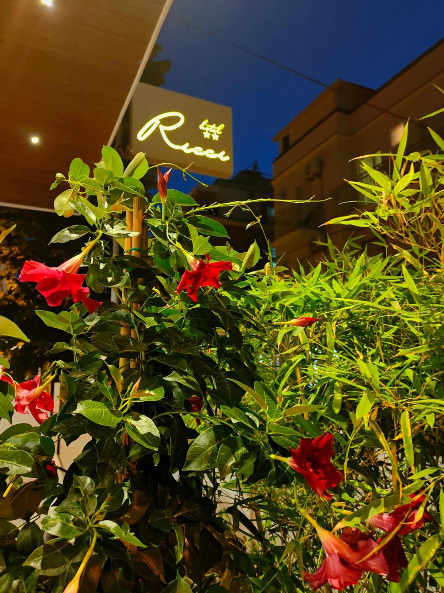 Hotel Ricci 2*