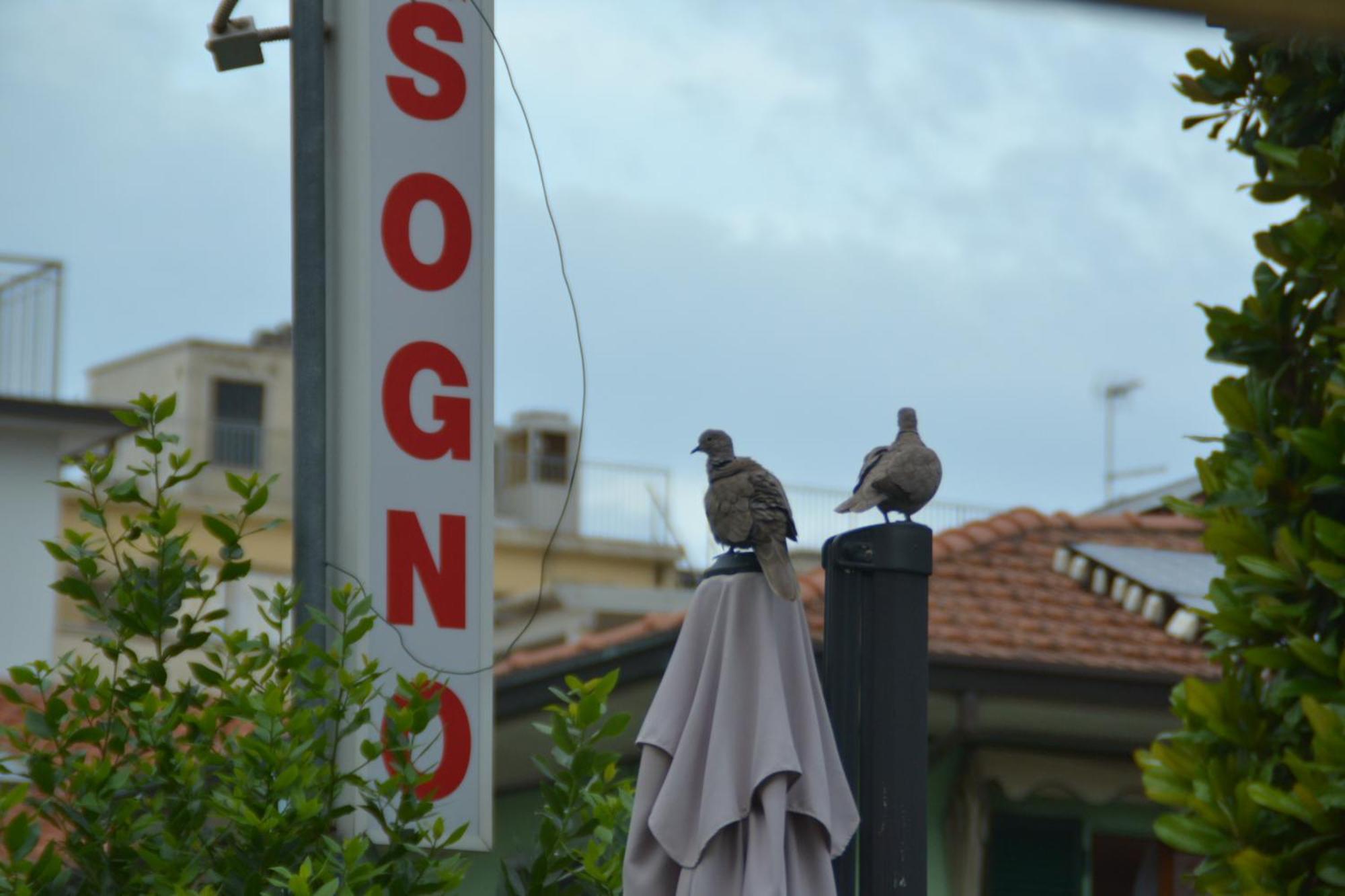 Bel Sogno Hotel 3*