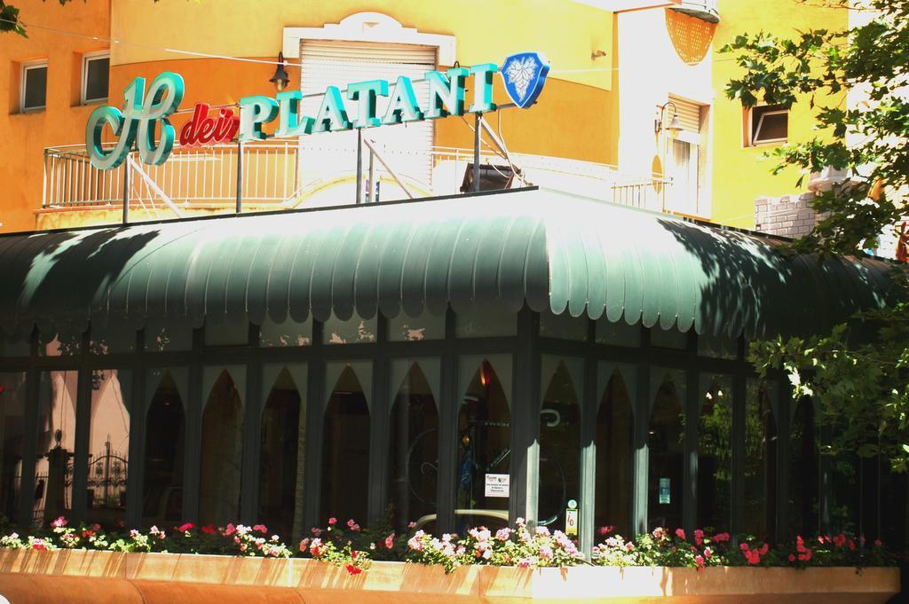 Dei Platani Hotel Rimini