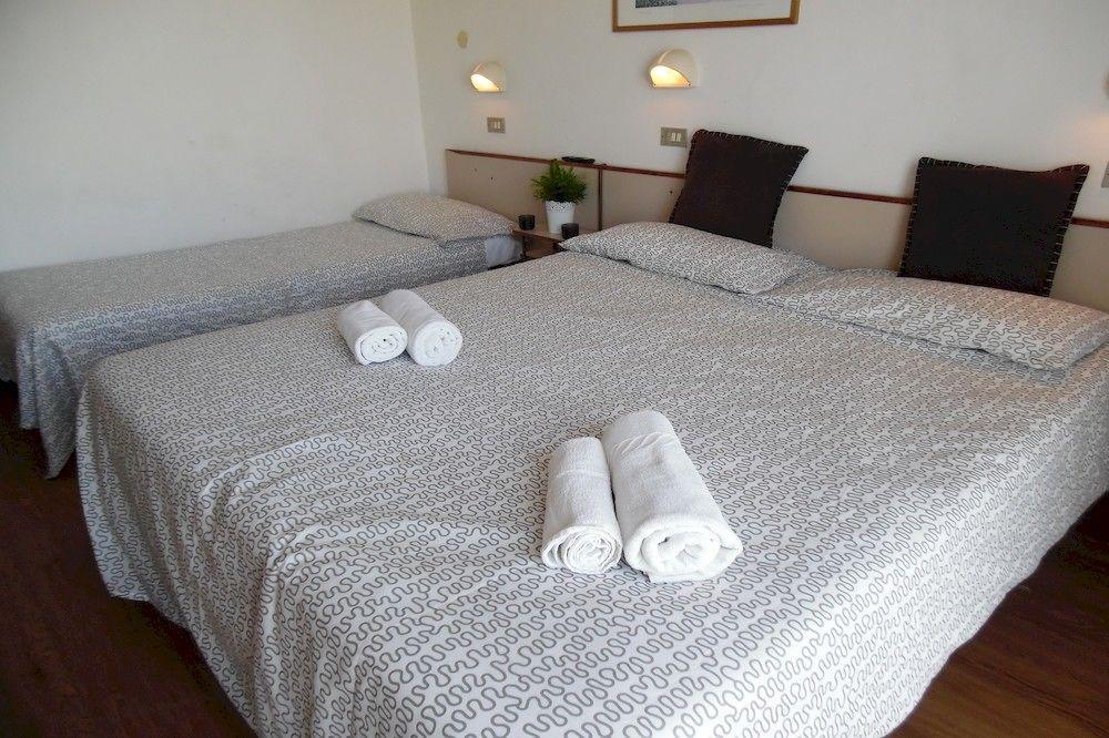 Alpen Hotel 3*