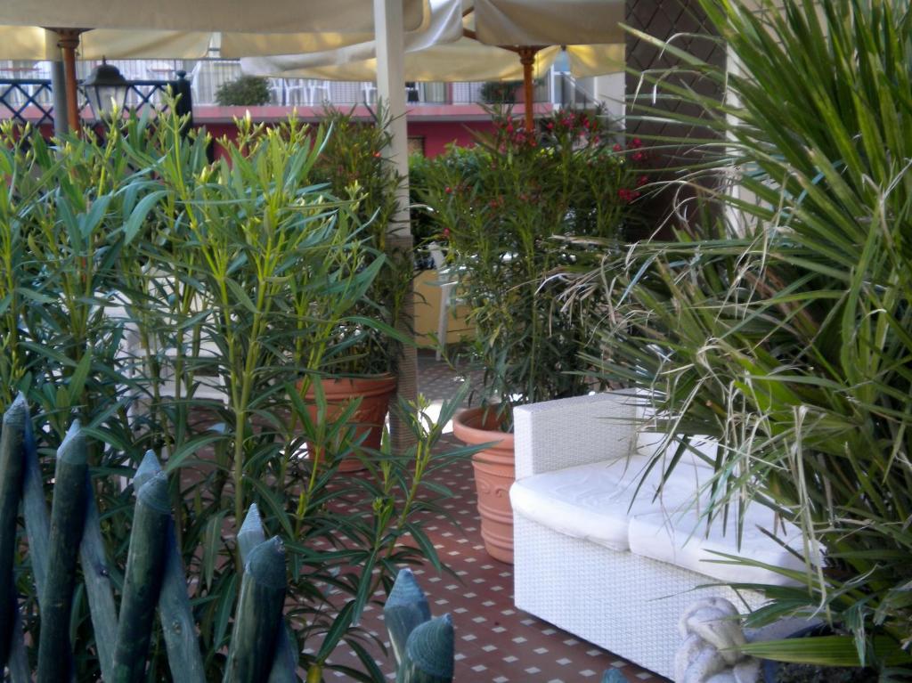 Hotel Nova Dhely