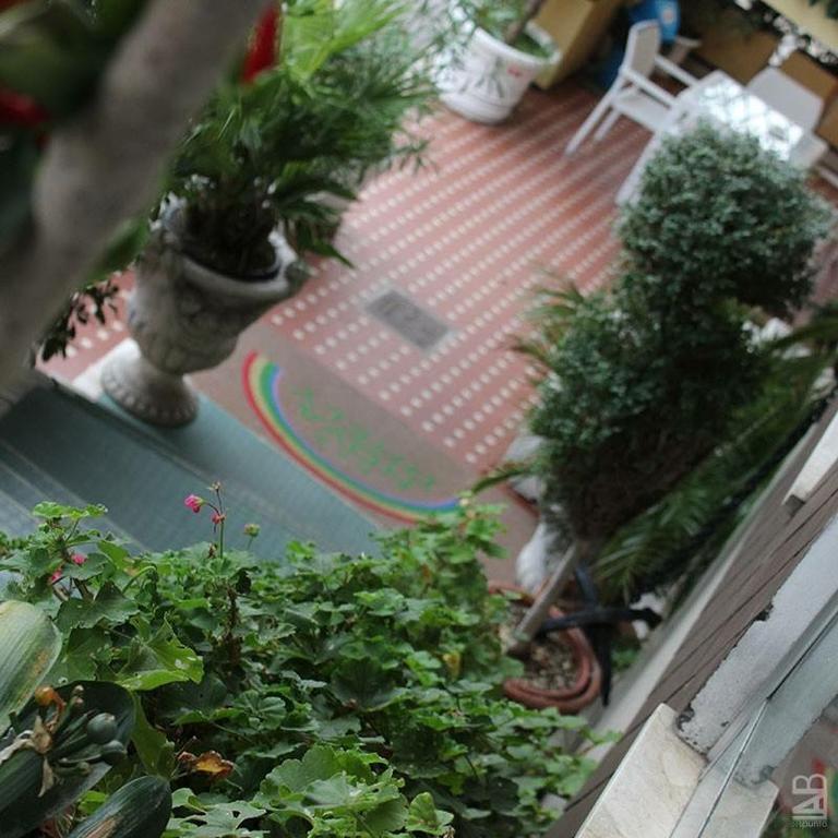 Nova Dhely Hotel 3*