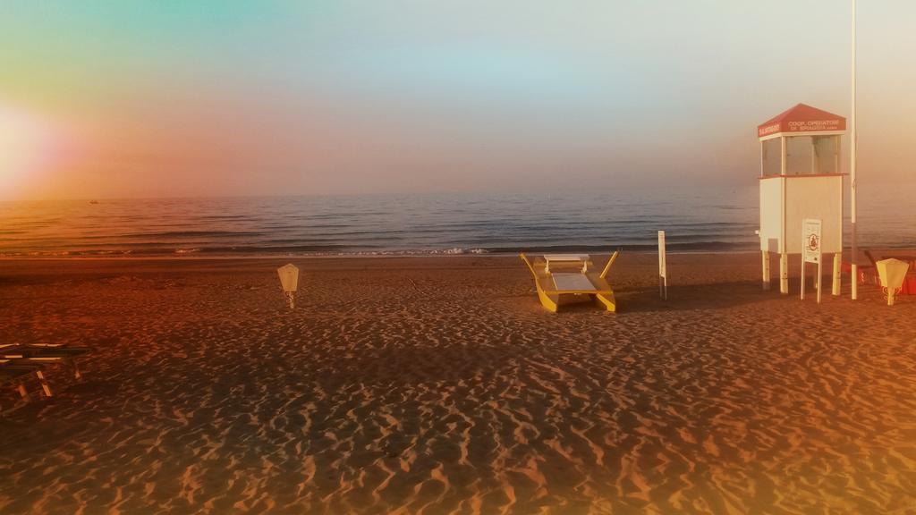 Camelia Hotel Rimini