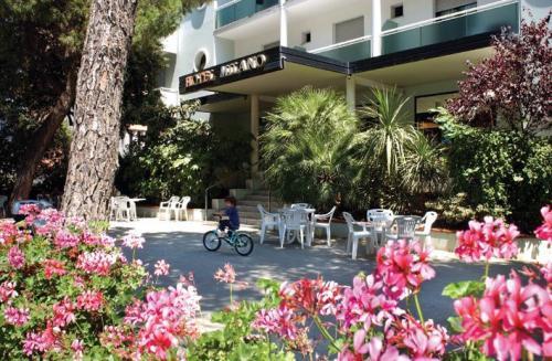 Hotel Milano Ile De France Hotel 3*