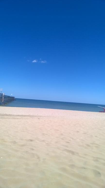 Nova Dhely Rimini