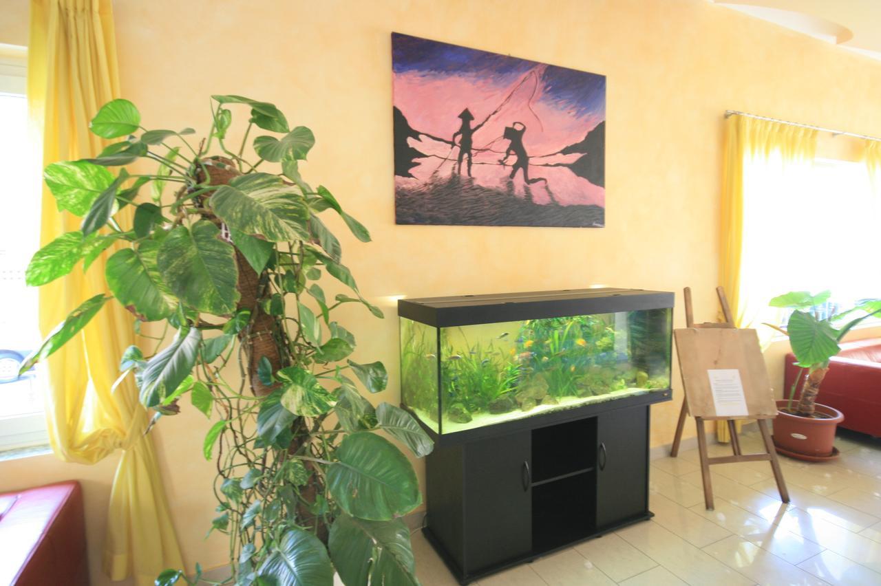 Paradise Aparthotel 3*
