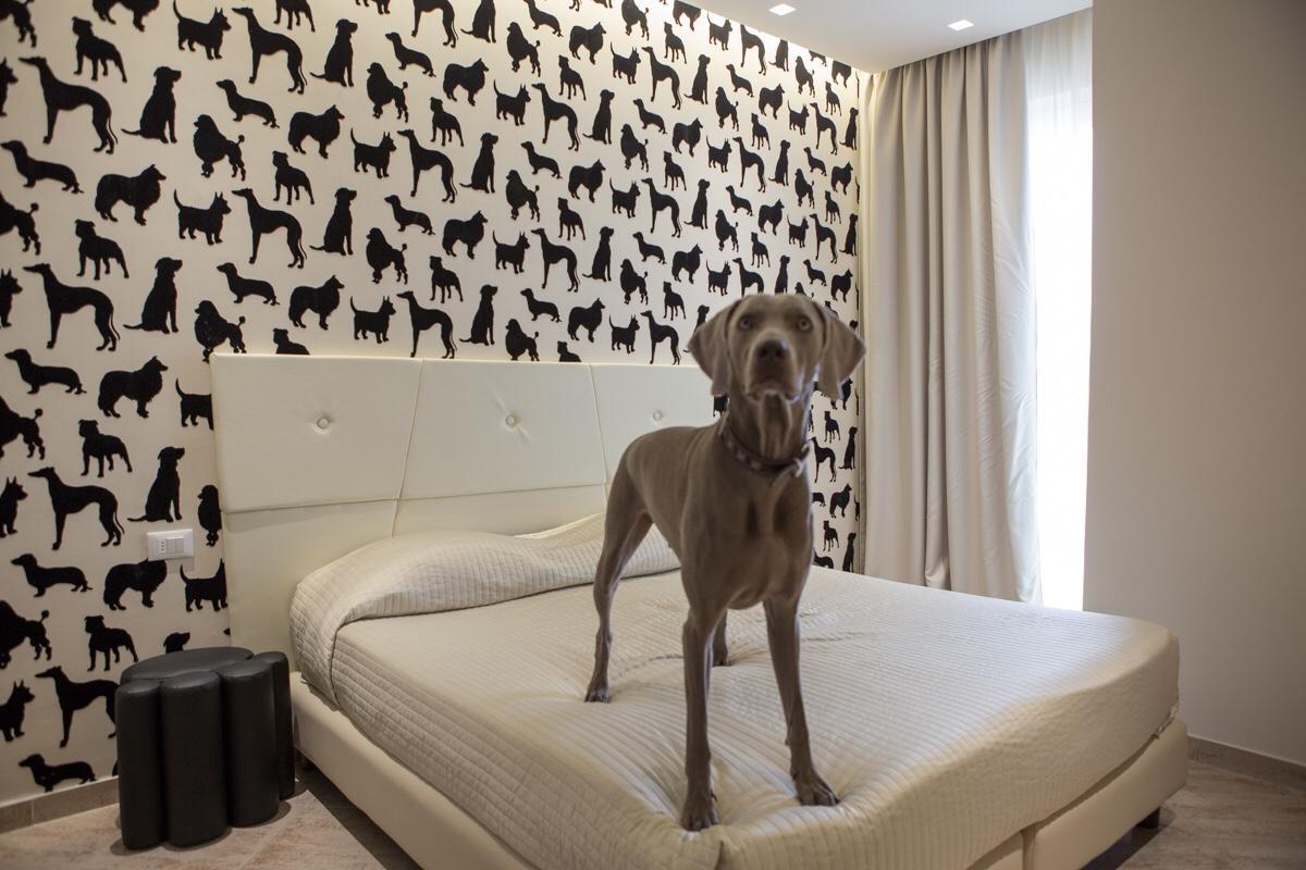 Hotel Principe