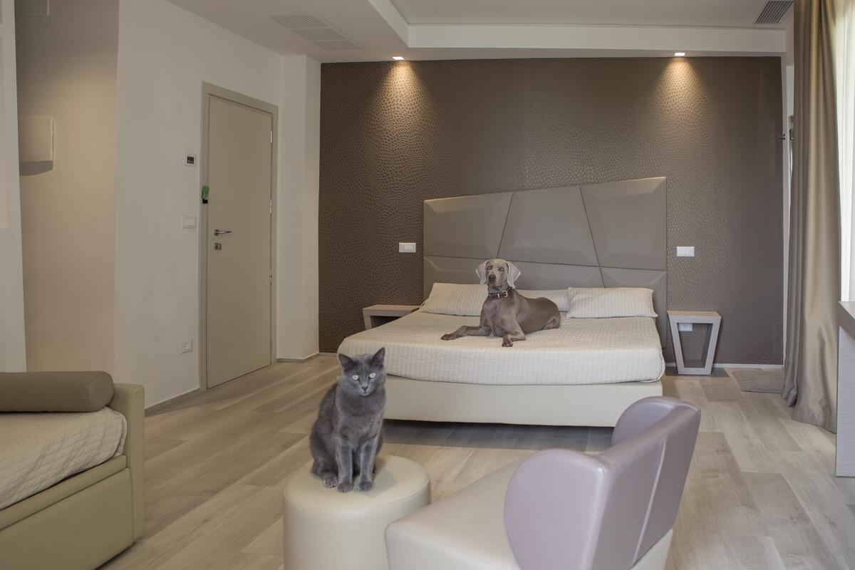 Principe 3* Rimini