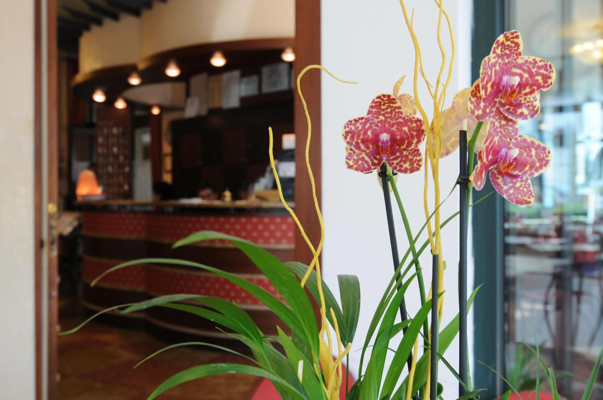 Dei Platani Hotel 3*