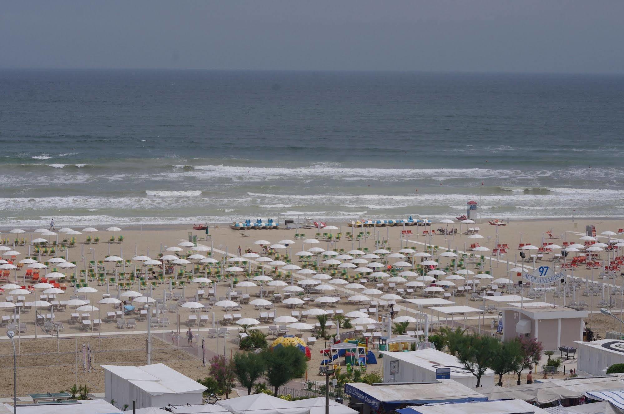 Grifone Rimini