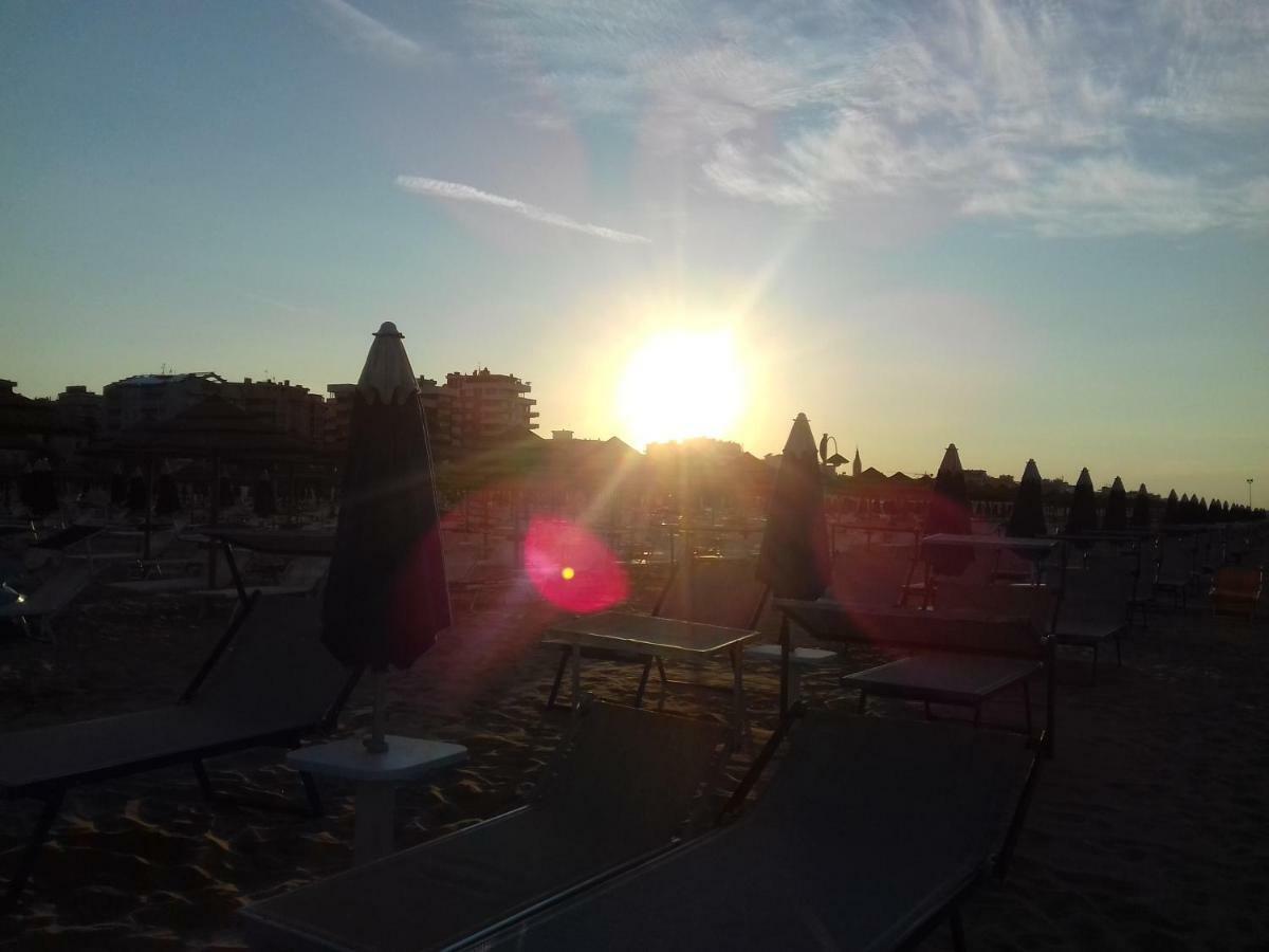 Edera Rimini