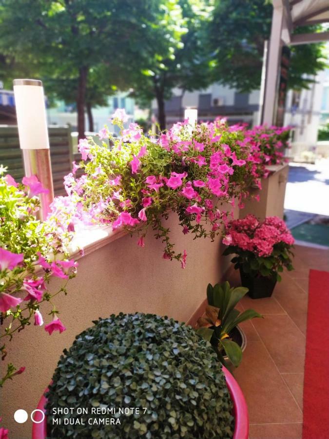 Etoile 3* Rimini