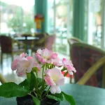 Hotel Maena