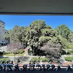 Casa Domus Del Chirurgo