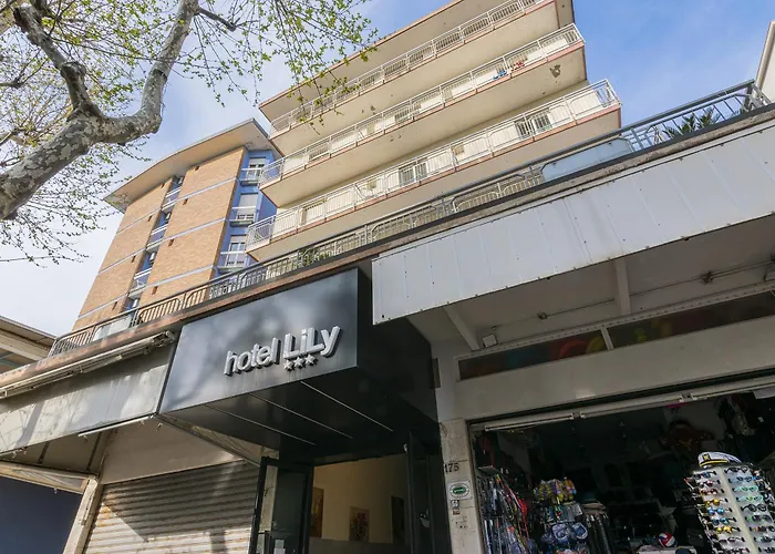 Hotel Lily