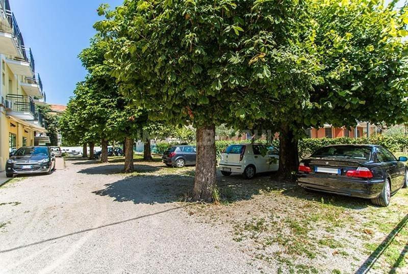 Argo 2* Rimini