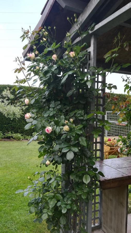 Bed & Breakfast A Casa Giuli *