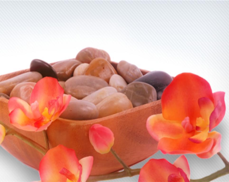Maena Hotel Rimini