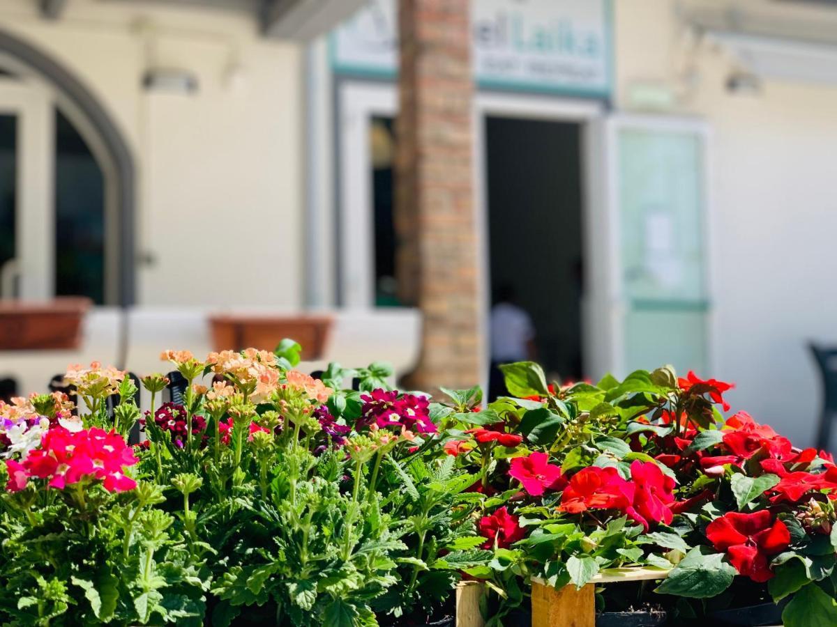 Hotel Laika Rimini