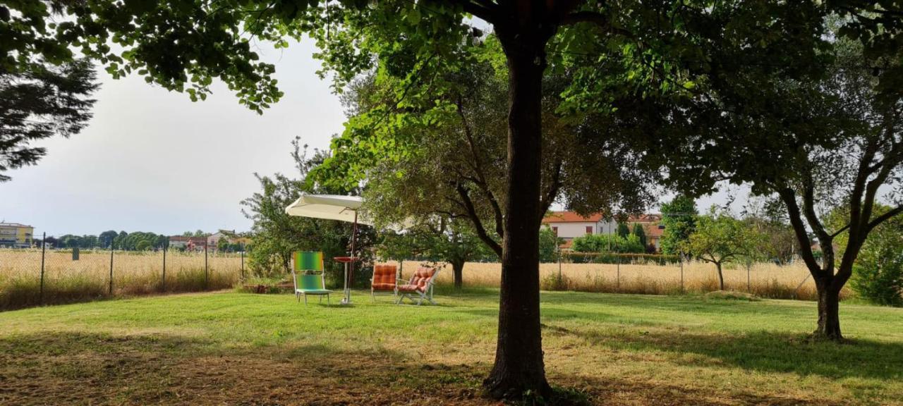 Chez Barnie Favoloso Privato In A 800mt Ingresso Fiera Apartment Rimini