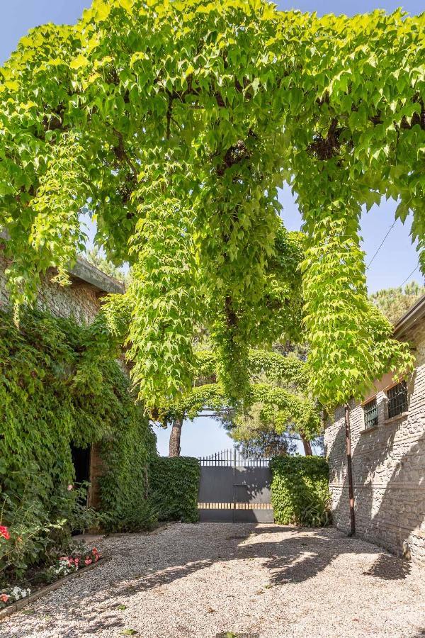Villa Podere Terrerosse Con Piscina Nell'entroterra Di Rimini