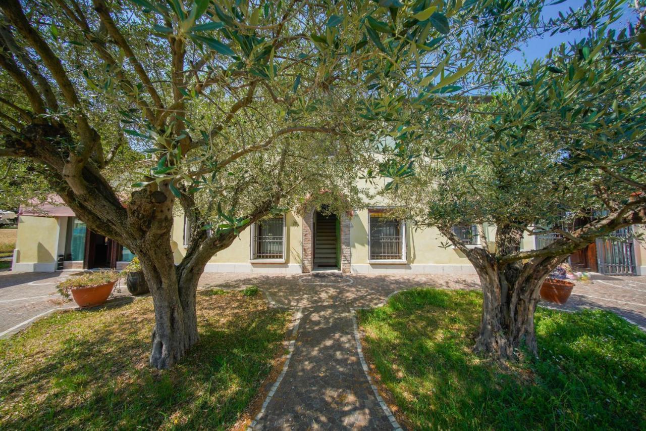 Chez Barnie Favoloso Privato In A 800mt Ingresso Fiera Apartment Rimini