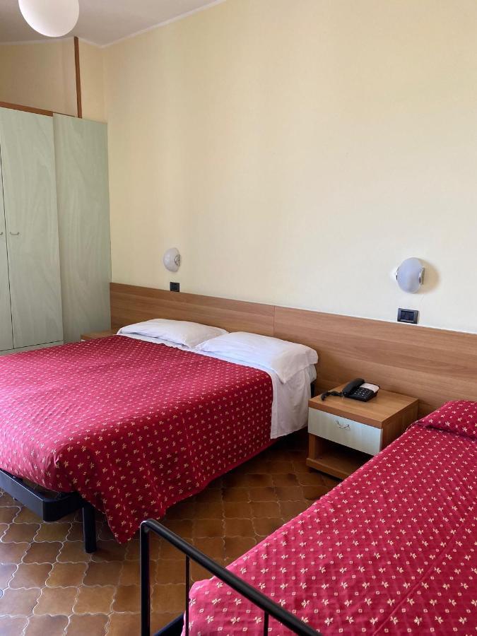Hotel Flamingo 3*
