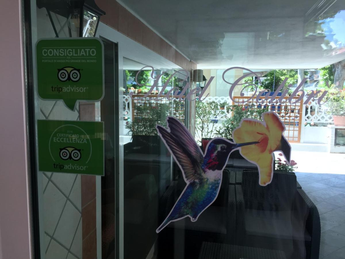 Colibri Rimini