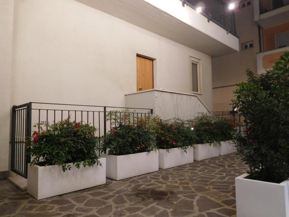 Gabbiano Rimini