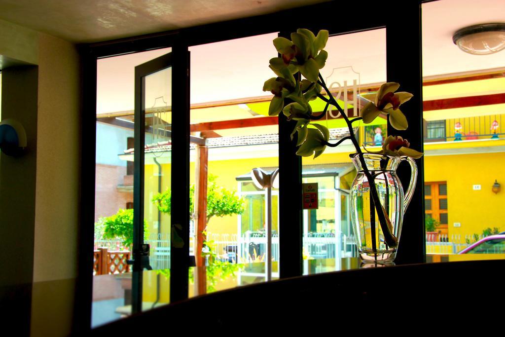 Sonne Hotel Rimini
