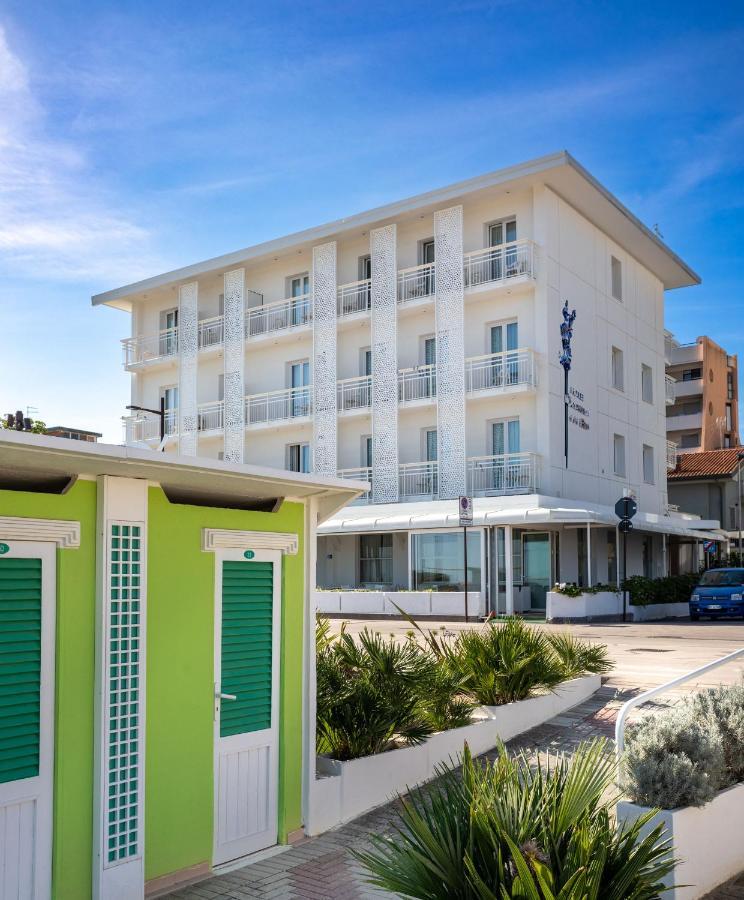 Orchidea Blu Rimini