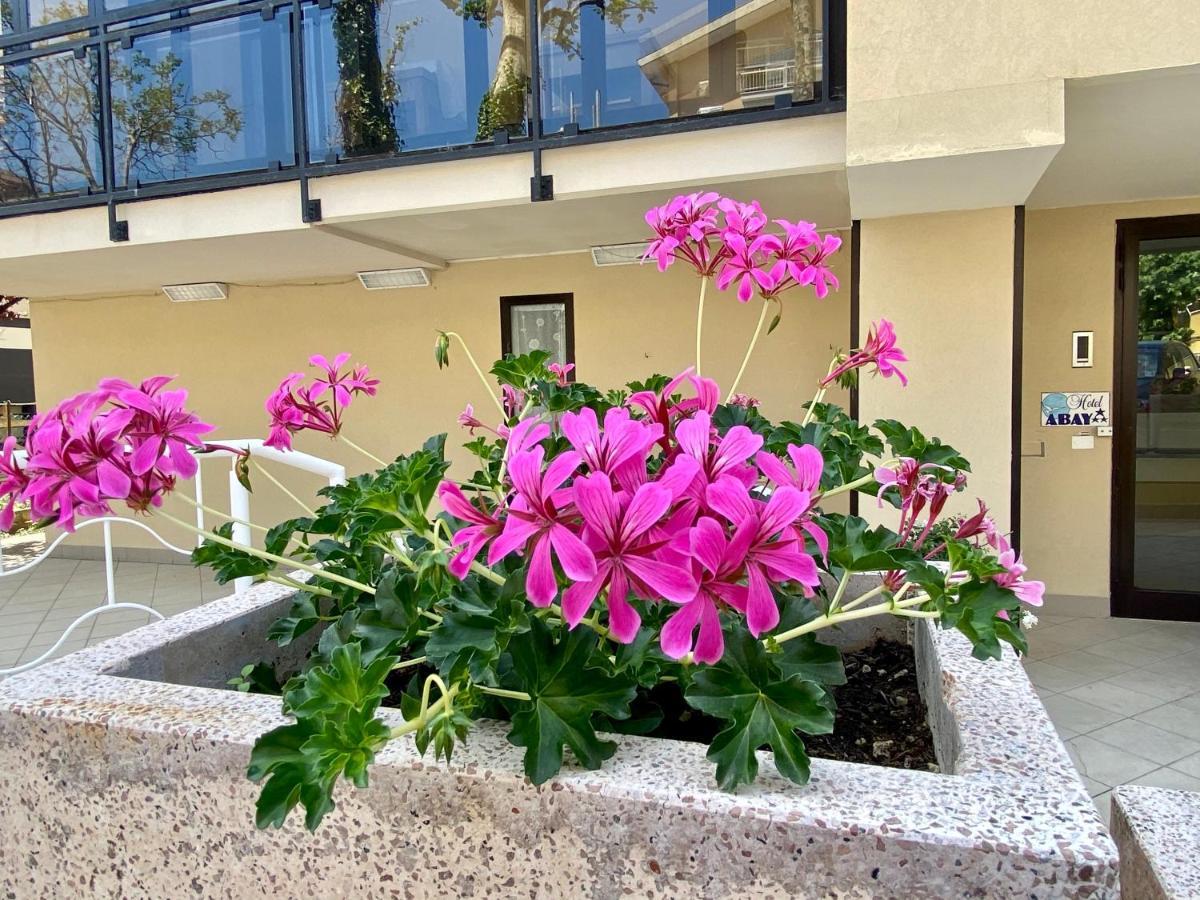 Abay Hotel Rimini