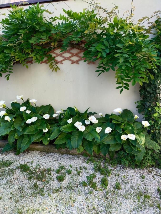 Goldene Rose