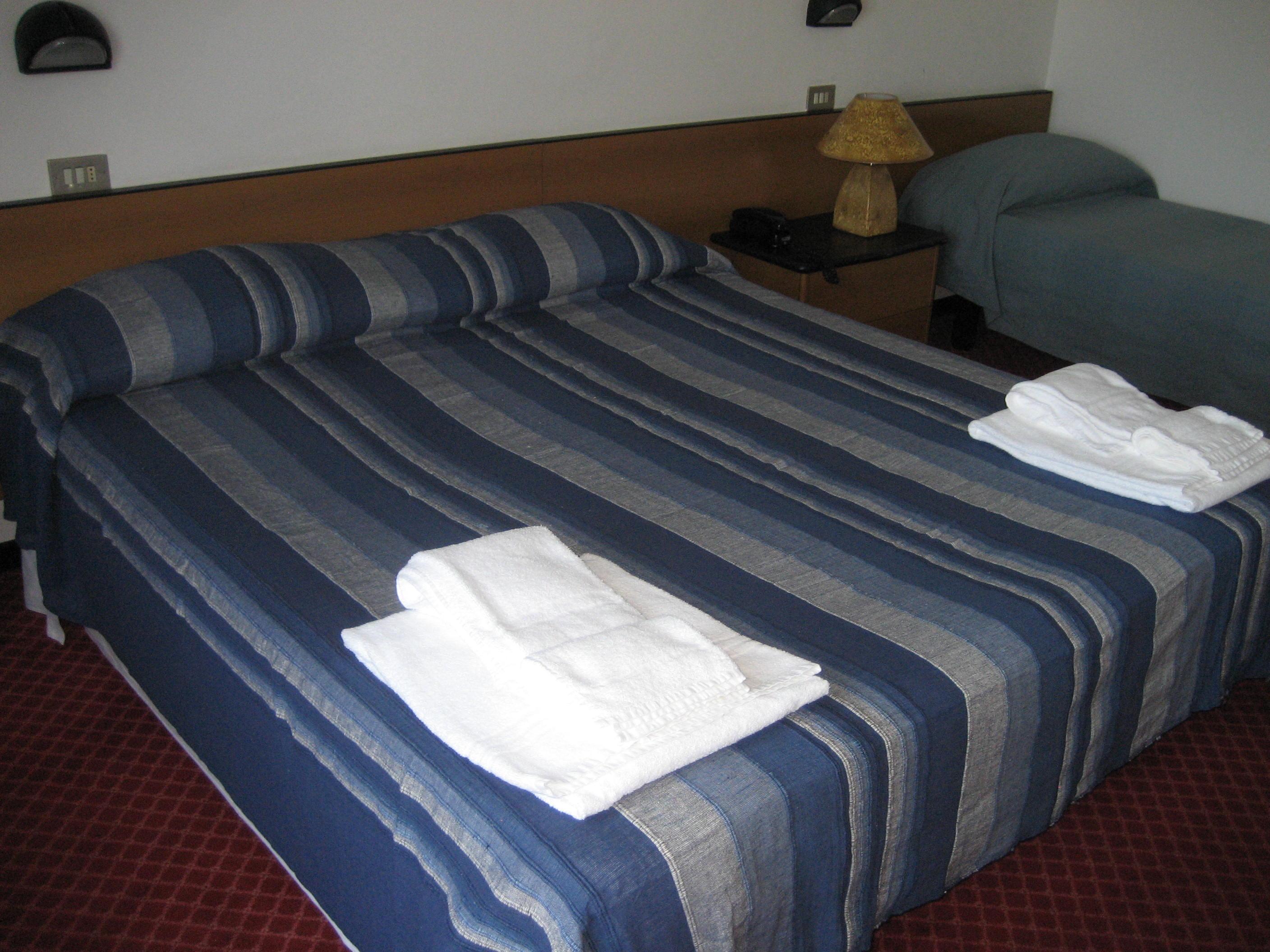 Niagara Hotel Rimini