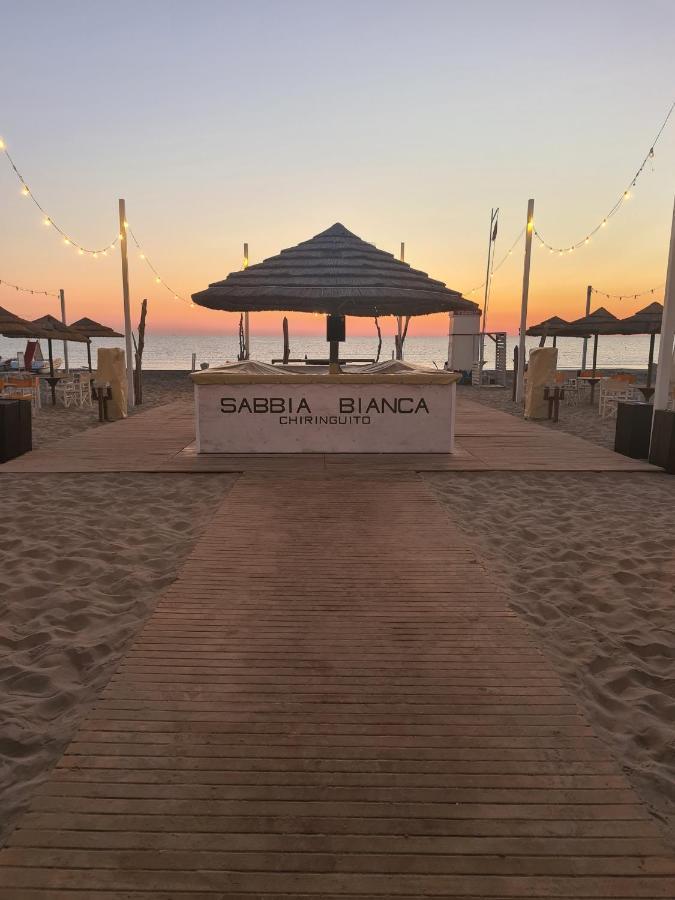Camelia Hotel Rimini