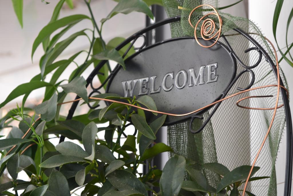 Hotel Alfredo's Rimini