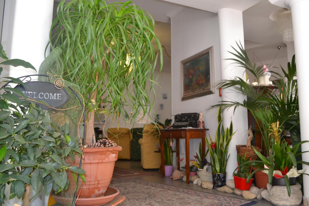 Alfredo's Hotel 3*