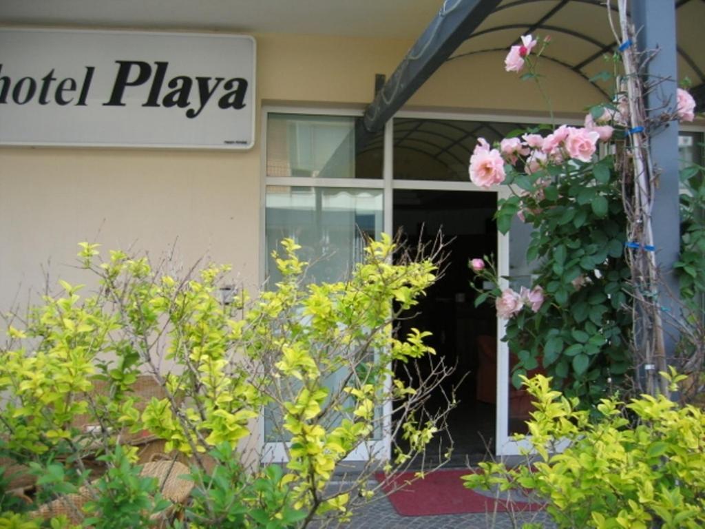 Playa Hotel 3*